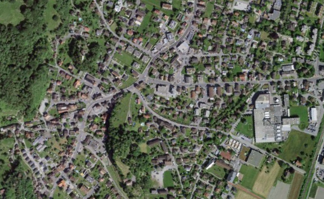 Die Hochstammaktion des Werdenberger Pflanzentags dient auch dem Klimaschutz