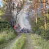 Grünabfall in Wäldchen neben der Autobahn fängt Feuer