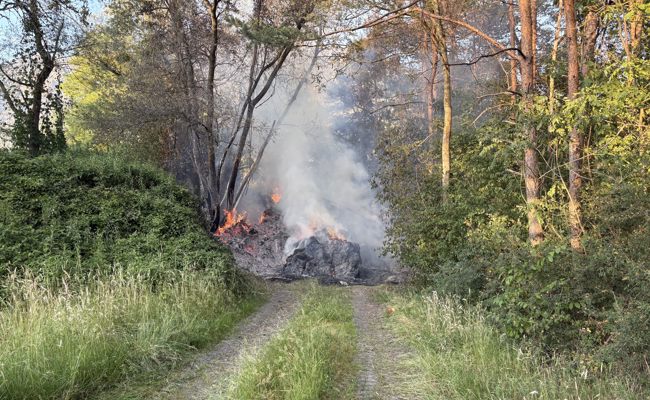 Grünabfall in Wäldchen neben der Autobahn fängt Feuer