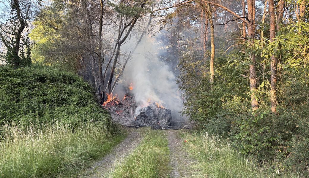 Grünabfall in Wäldchen neben der Autobahn fängt Feuer