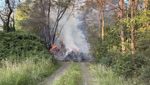 Grünabfall in Wäldchen neben der Autobahn fängt Feuer