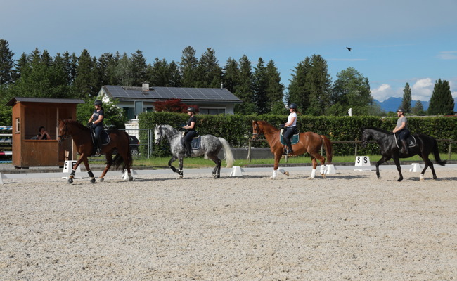 Gemeinsam statt Einsam im Viereck – eine Herausforderung