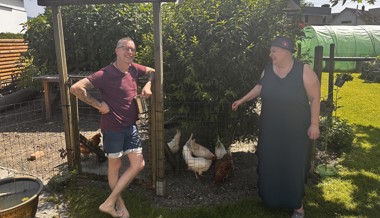 Gnadenhof statt Eiergeschäft: Hühner wird ein zweites Leben geschenkt