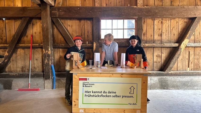 Tobias Bösch, Elio Lieberherr und Robin Bösch (v.l.) stellen selbst Müesli her. 