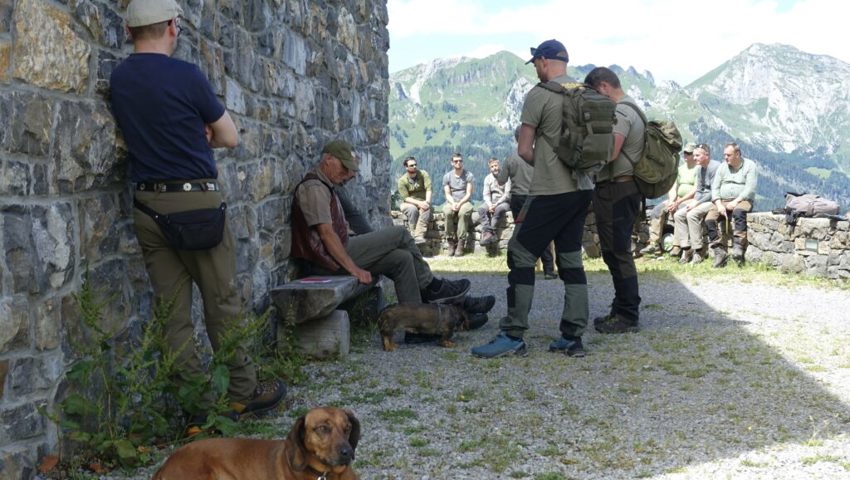  Etwas Schatten an diesem heissen Sommertag tat gut. Das fand auch Schweisshündin Luna. 