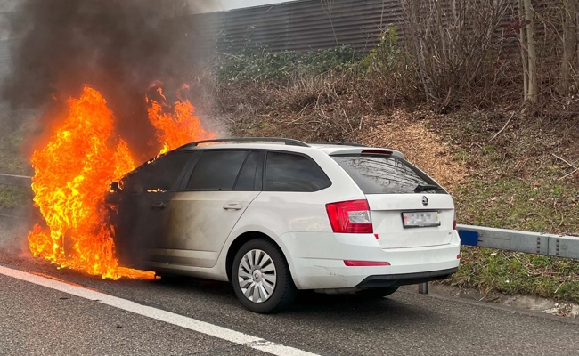 Wenn das Auto plötzlich brennt: Panik ist fehl am Platz