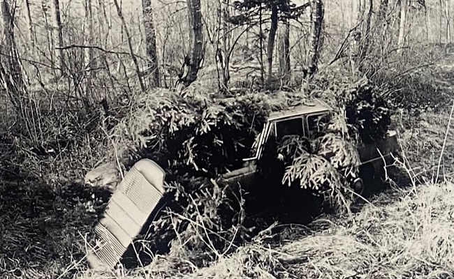 Morde im Morgengrauen: Als die Alfa-Bande drei Menschen erschoss