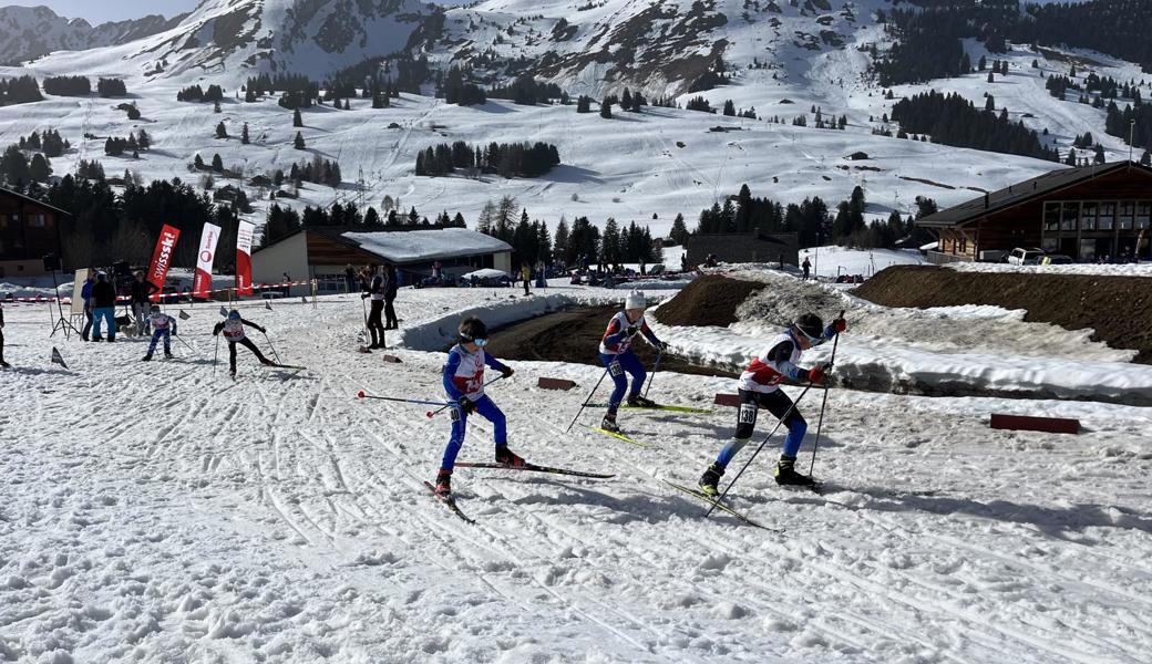 Viele Podestplätze für den SSC Toggenburg