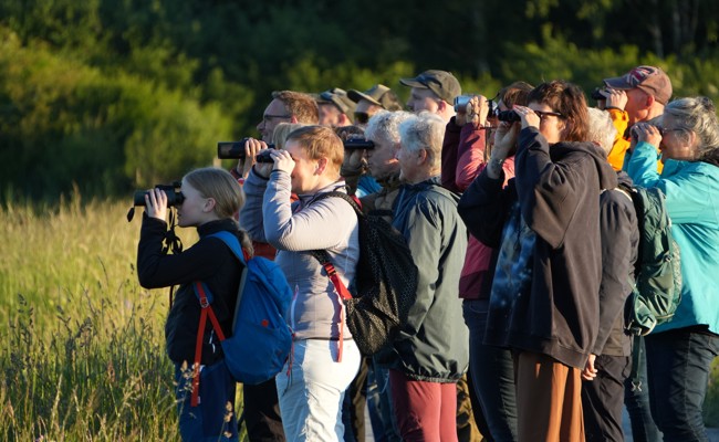 Hinter jeder Wegbiegung wartet Neues