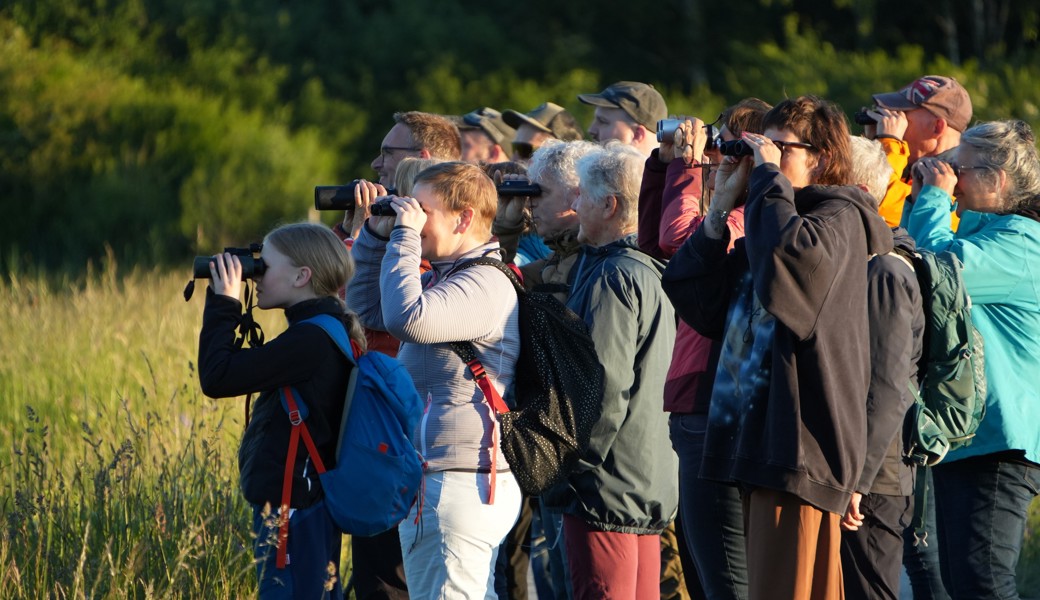 Hinter jeder Wegbiegung wartet Neues