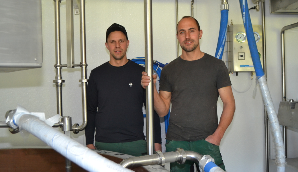 Wenn 2500 Liter im Käsekessi sind: Wertvolle Alpmilch soll vor Ort verkäst werden