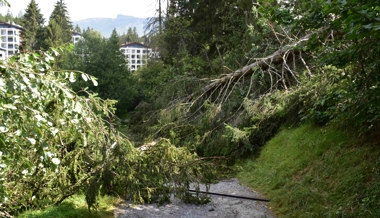 Wanderer bei Unwetter durch umstürzenden Baum verletzt