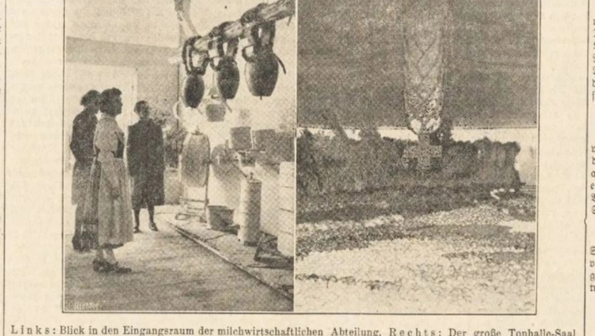 Die Olma-Berichterstattung war 1943 noch deutlich kleiner als in der jüngeren Vergangenheit. 