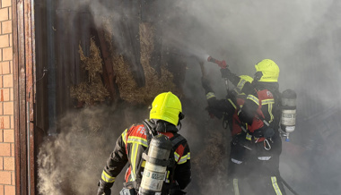 Brand in Scheune: Zwei Personen müssen ins Spital – Tiere unverletzt gerettet