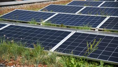 Mons Solar hat das Konkursverfahren eingeleitet