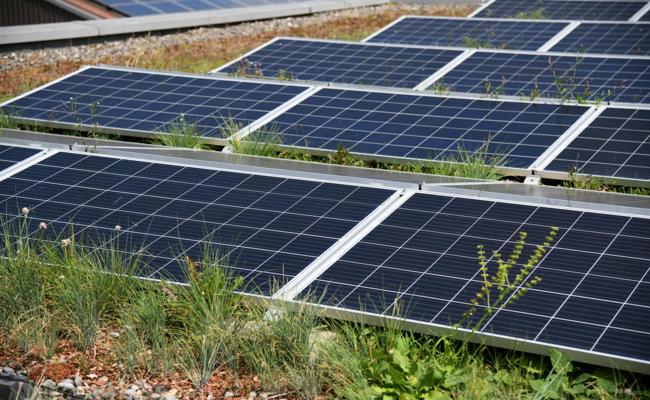 Mons Solar hat das Konkursverfahren eingeleitet