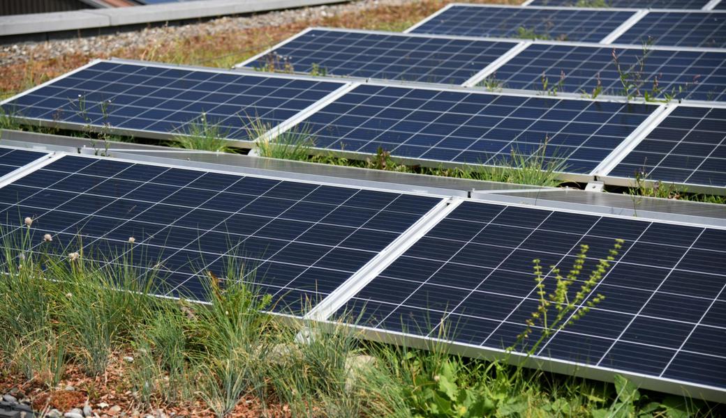 Mons Solar hat das Konkursverfahren eingeleitet