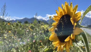 Die bunte Farbenpracht erleichtert den Abschied vom warmen Sommer