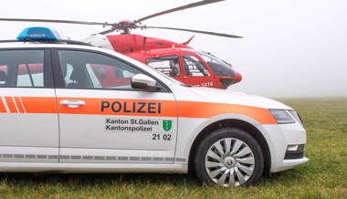 Schwerverletzter Mann nach Sturz von Baum