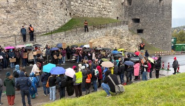 Trotz Veto: 250 Personen demonstrierten für die Fristenlösung