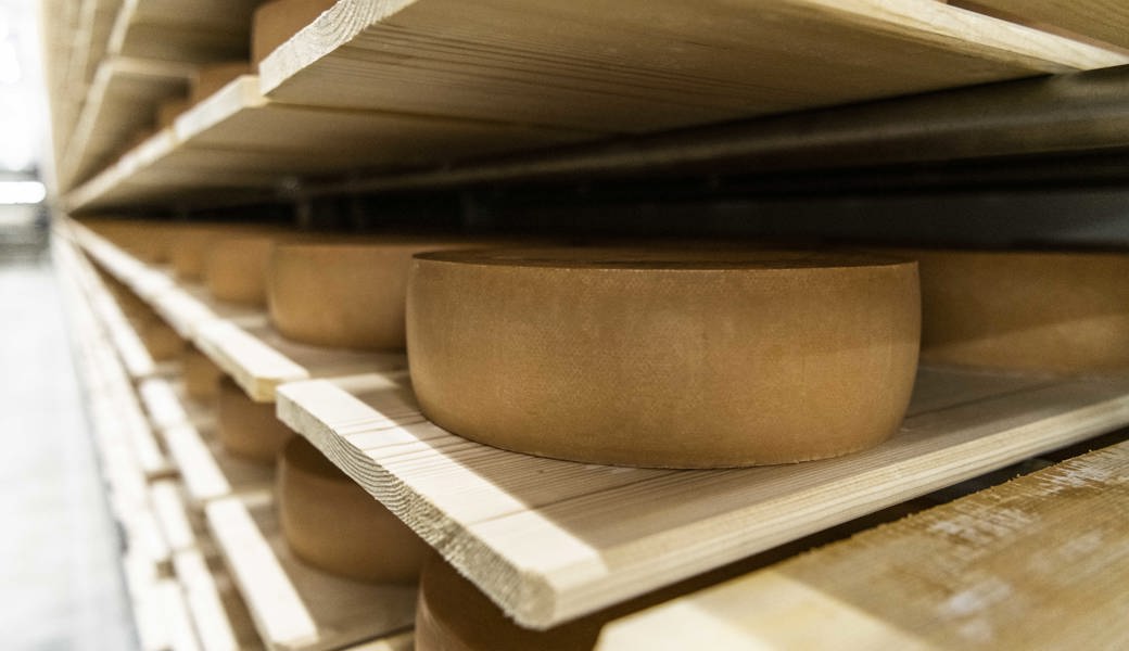 Appenzeller Käse reift in der Thurgauer Käserei Thönen.