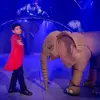Spektakuläre Akrobatik, galoppierende Pferde und verblüffende Illusionen: So verlief die Premiere des Circus Knie