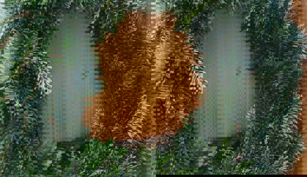  Ein natürlicher Türkranz ist schön anzusehen, ob mit oder ohne Dekoration. 