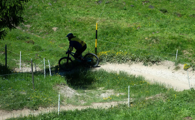 Bikeclubs äussern sich zur Mountainbike-Strategie und dem geforderten Nachtfahrverbot