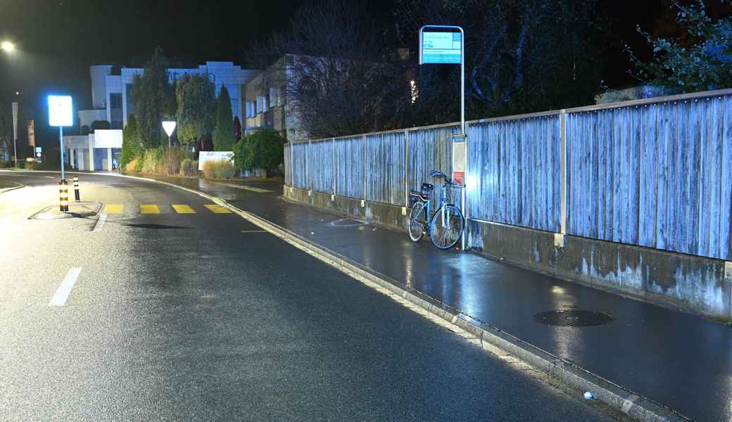 Der Unfall ereignete sich kurz vor der Verzweigung Heldaustrasse/Rheinaustrasse.