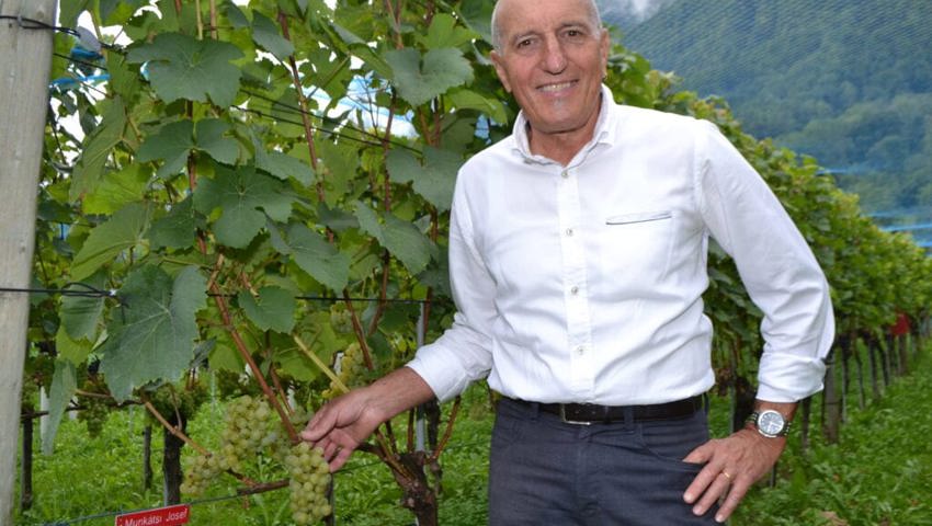 30. November: Markus Hardegger, Gams, geht in Pension. 33 Jahre war er Leiter der kantonalen Fachstelle Weinbau. 30. November: Markus Hardegger, Gams, geht in Pension. 33 Jahre war er Leiter der kantonalen Fachstelle Weinbau.