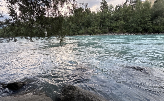 Mann bei Sprung in den Rhein schwer verletzt