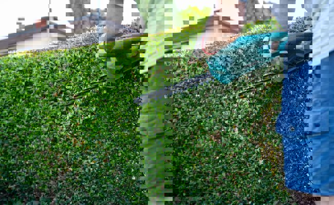 «Dicke Saupfluttere» schlägt «Inzuchtappenzeller» mit Baseballschläger: Nachbarschaftsstreit landet vor Gericht