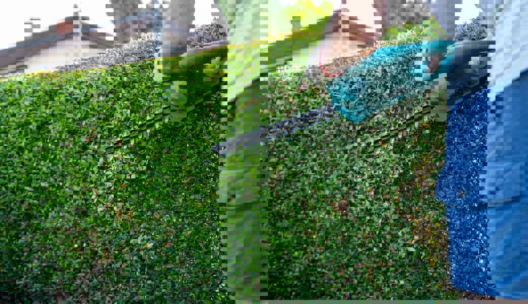 Aus dem Schneiden einer Hecke wurde eine tätliche Auseinandersetzung: Nur eines von vielen Ereignissen, die die Parteien vor Gericht diskutiert haben. 