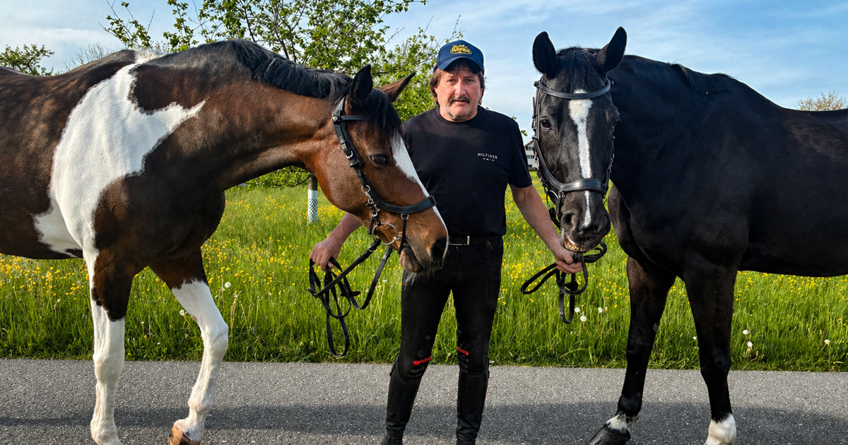 With sensitivity to successful equestrian scenes