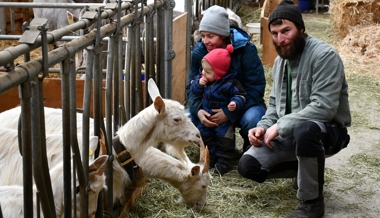 Landwirt Ruedi Bühler hat ein Faible für Kühe und Traditionen
