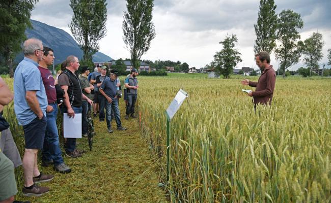 Für bessere Ernten setzt die Landwirtschaft auf Forschung und neue Technik
