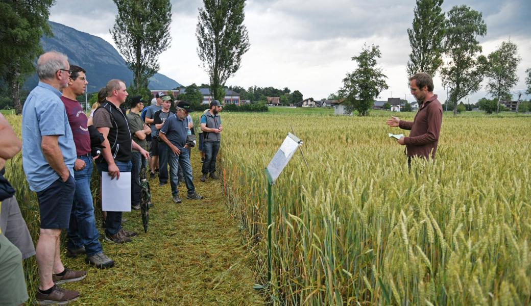 Für bessere Ernten setzt die Landwirtschaft auf Forschung und neue Technik