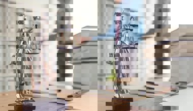 Warum der angeklagte Anwalt trotz lebenslangem Berufsausübungsverbot weiter arbeitet