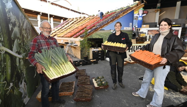 Ein Regenbogen aus erntefrischem Gemüse und Obst