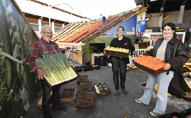 Ein Regenbogen aus erntefrischem Gemüse und Obst