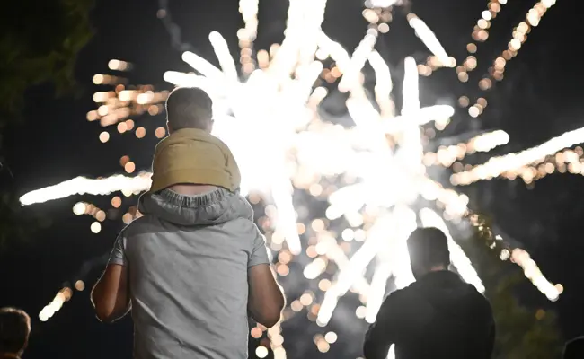 Wird Feuerwerk bald verboten? Das müssen Sie zur Abstimmung wissen