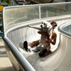 Freie Bahn für Vierbeiner: 100 Hunde erobern Sprungturm und Wasserrutsche