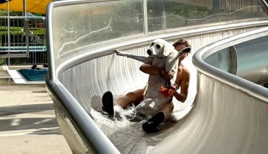Freie Bahn für Vierbeiner: 100 Hunde erobern Sprungturm und Wasserrutsche