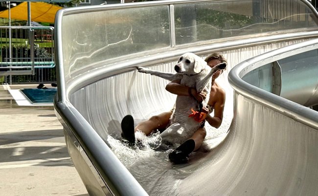 Freie Bahn für Vierbeiner: 100 Hunde erobern Sprungturm und Wasserrutsche