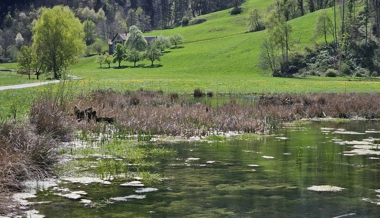 Oben hui, unten pfui: Diese Idylle verbirgt «Grüsigs»