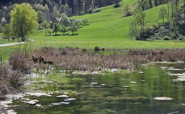 Oben hui, unten pfui: Diese Idylle verbirgt «Grüsigs»