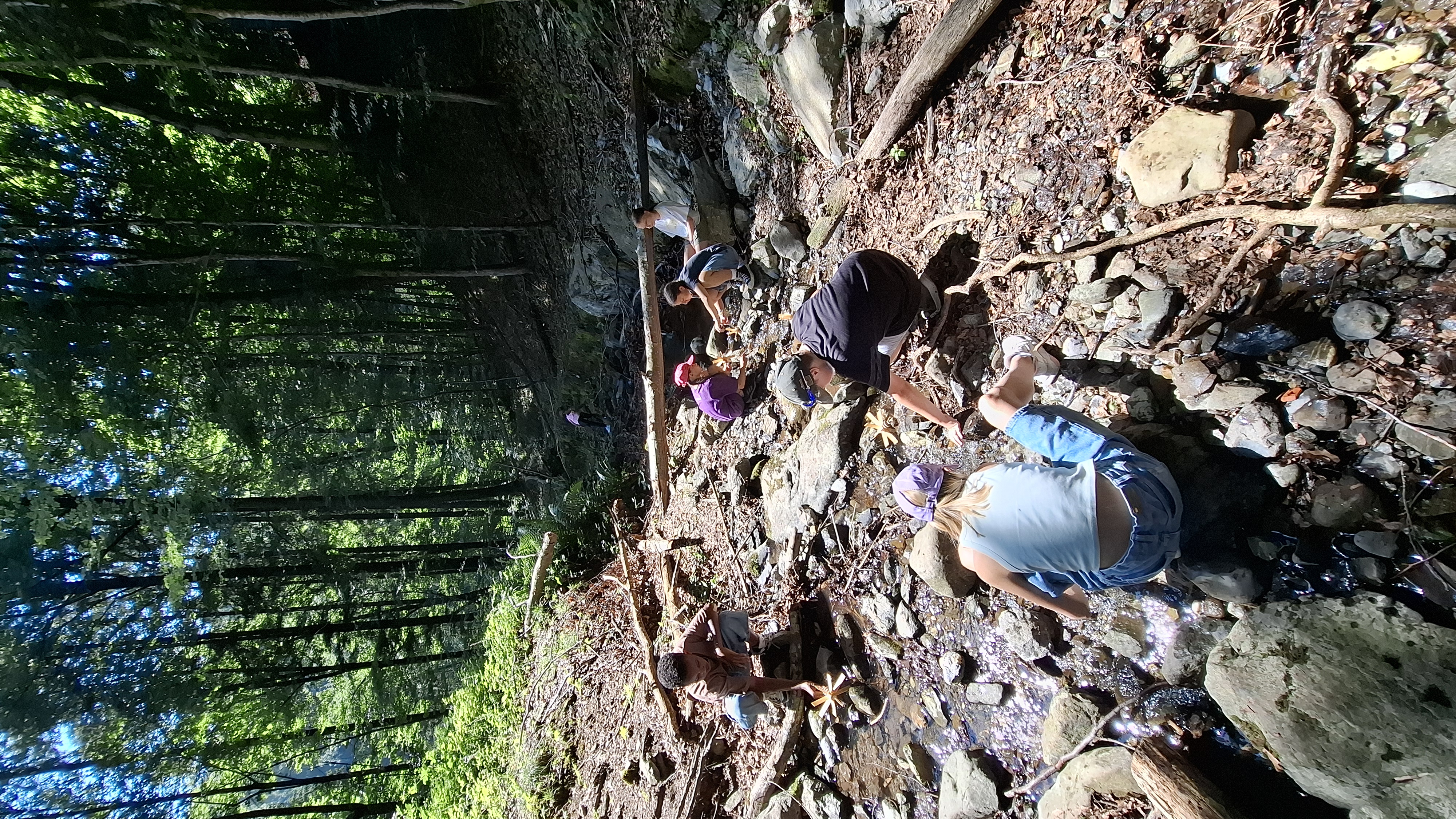 Die selbst gebauten kleinen Wasserräder aus Holz wurden im Bach auf ihre Funktion getestet.