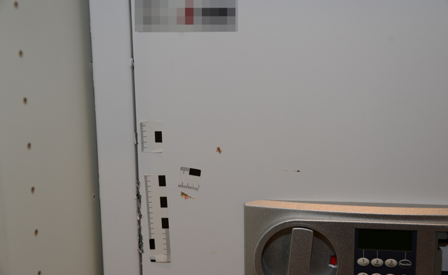 Mitten am Tag durch Fenster in Haus eingebrochen