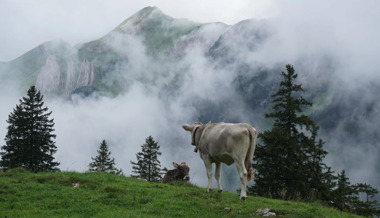 Viel Regen, ausbleibende Gäste: Die Folgen des schlechten Wetters den Bergtourismus im Alpstein