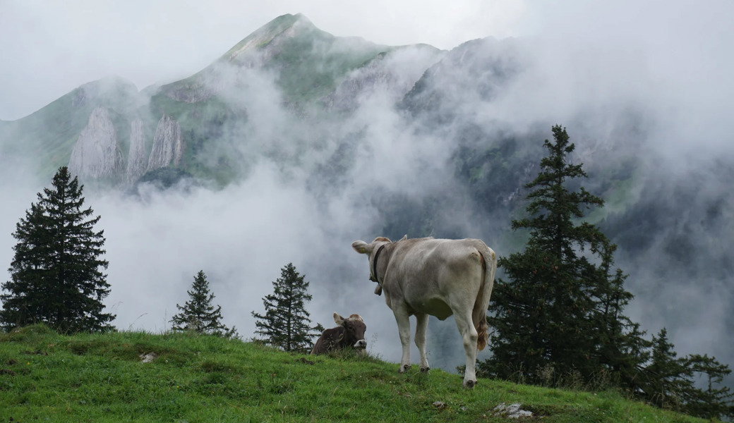 Viel Regen, ausbleibende Gäste: Die Folgen des schlechten Wetters den Bergtourismus im Alpstein